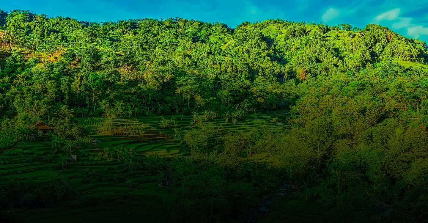 coverImage